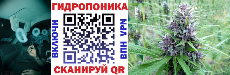 Гашиш Краснознаменск