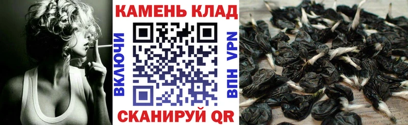 ГАШ Premium  Краснознаменск 