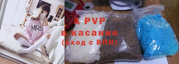 СК Нефтегорск