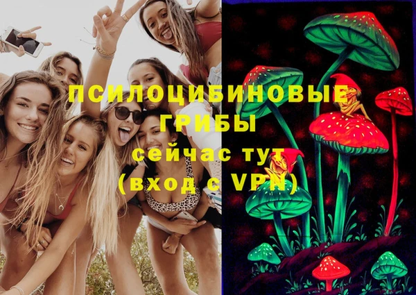 СК Нефтегорск