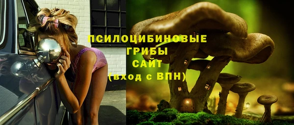 СК Нефтегорск