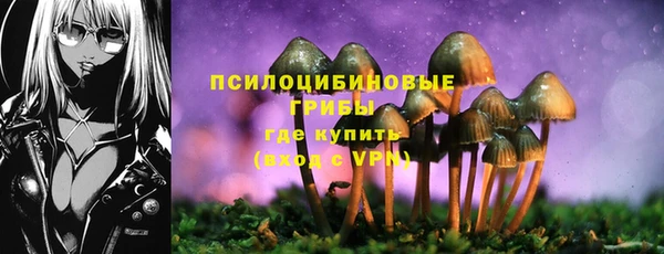 spice Нефтекумск