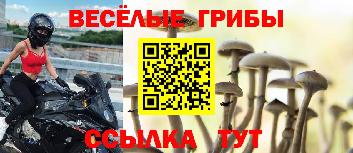 где можно купить наркотик  Галлюциногенные грибы мухоморы  Вход с VPN  Краснознаменск 