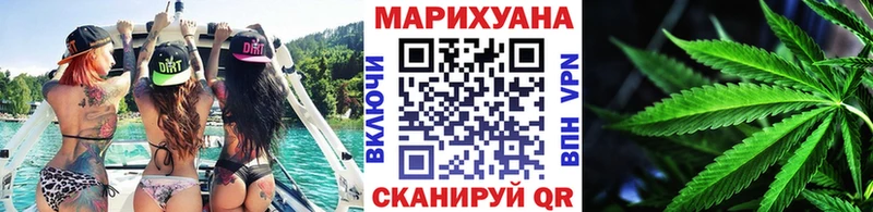 Каннабис план Краснознаменск